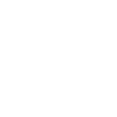 Focus Director